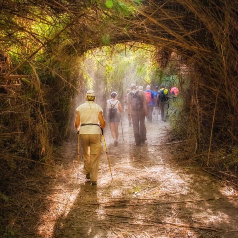 366070015_10231829946432576_8828869215273095706_n