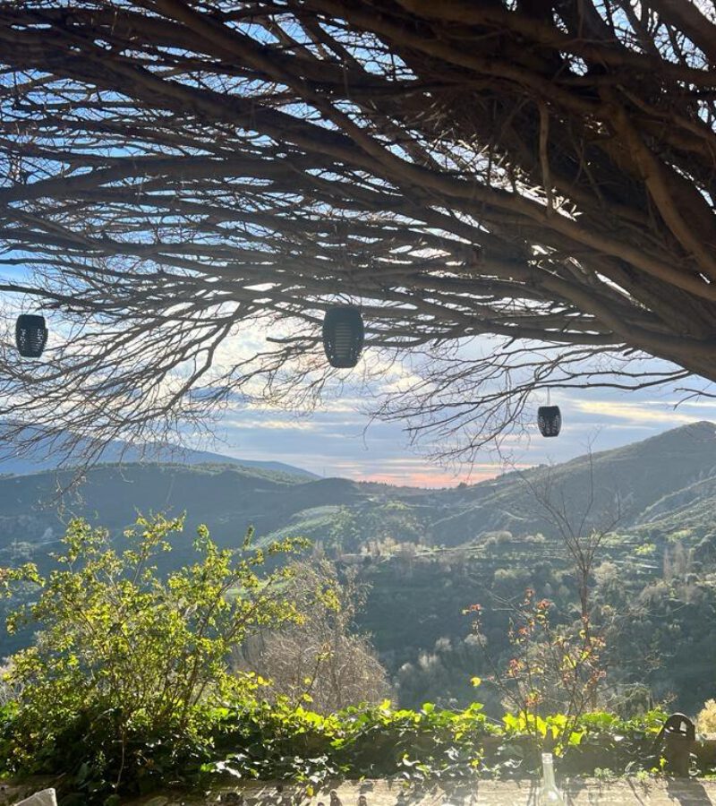 5f0020a8-ce55-4501-951c-5b81b779e49d