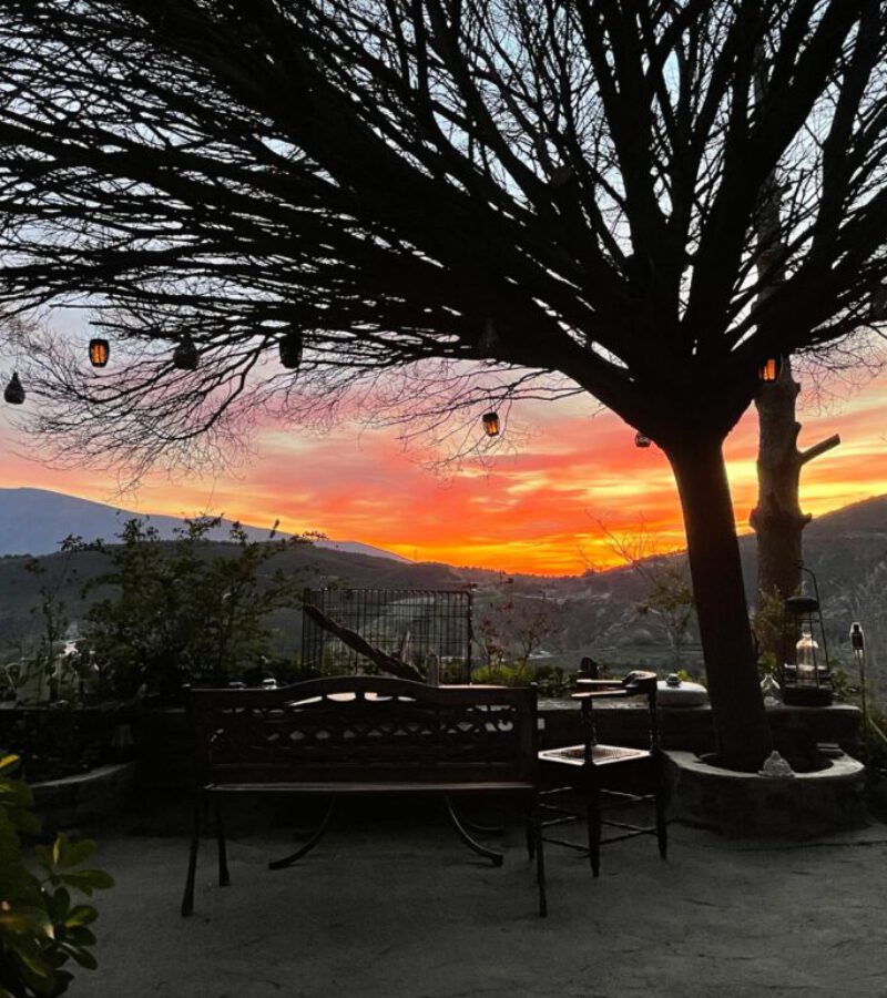 0264ee4a-fe6e-422e-bb0b-eb9f3ec9d91c