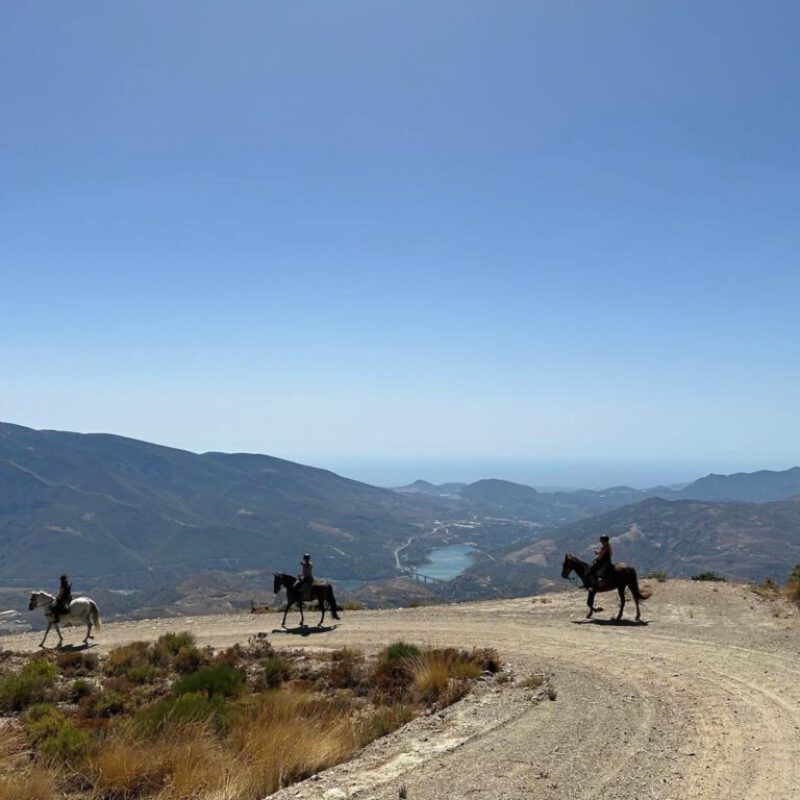 PHOTO-2025-03-06-18-38-27