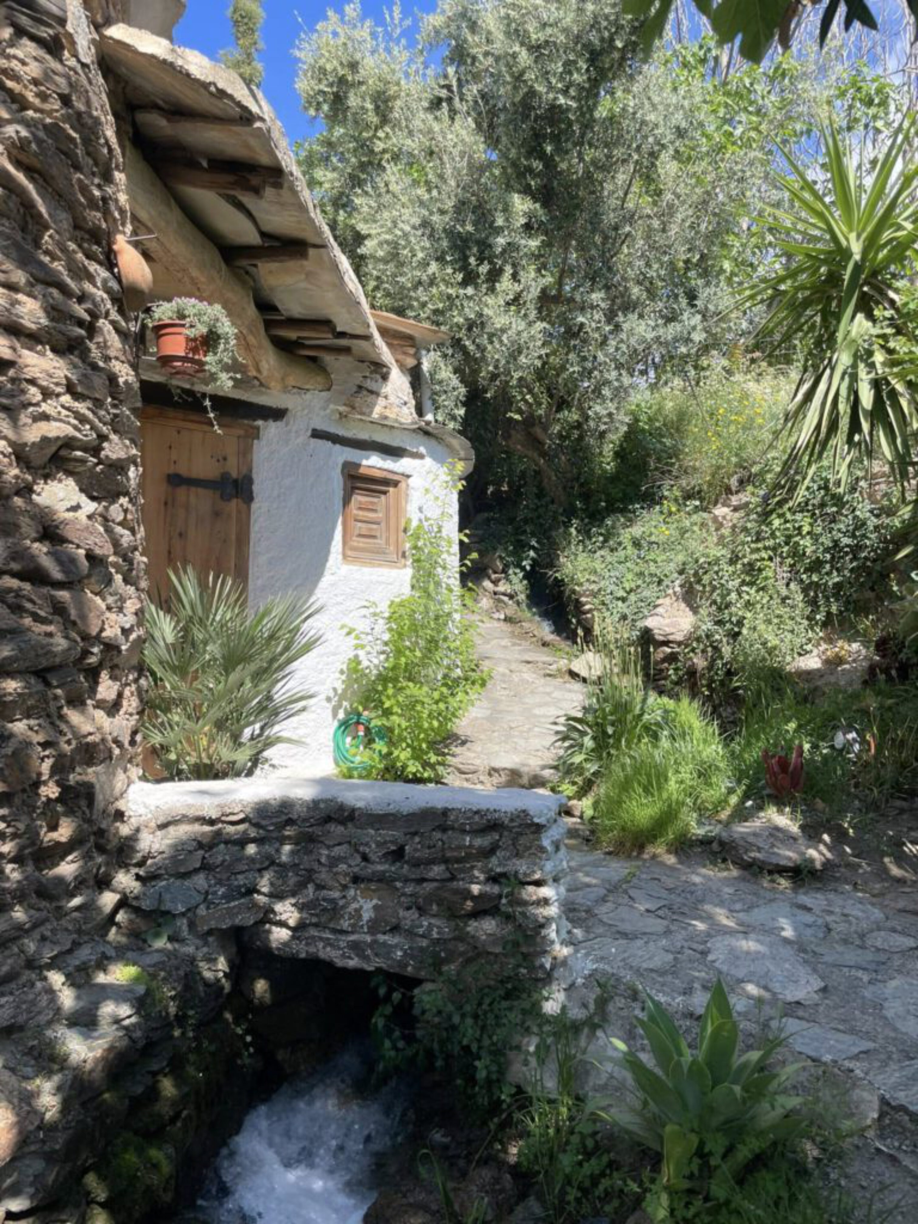 494319327_543285248857206_1488254852515792833_n