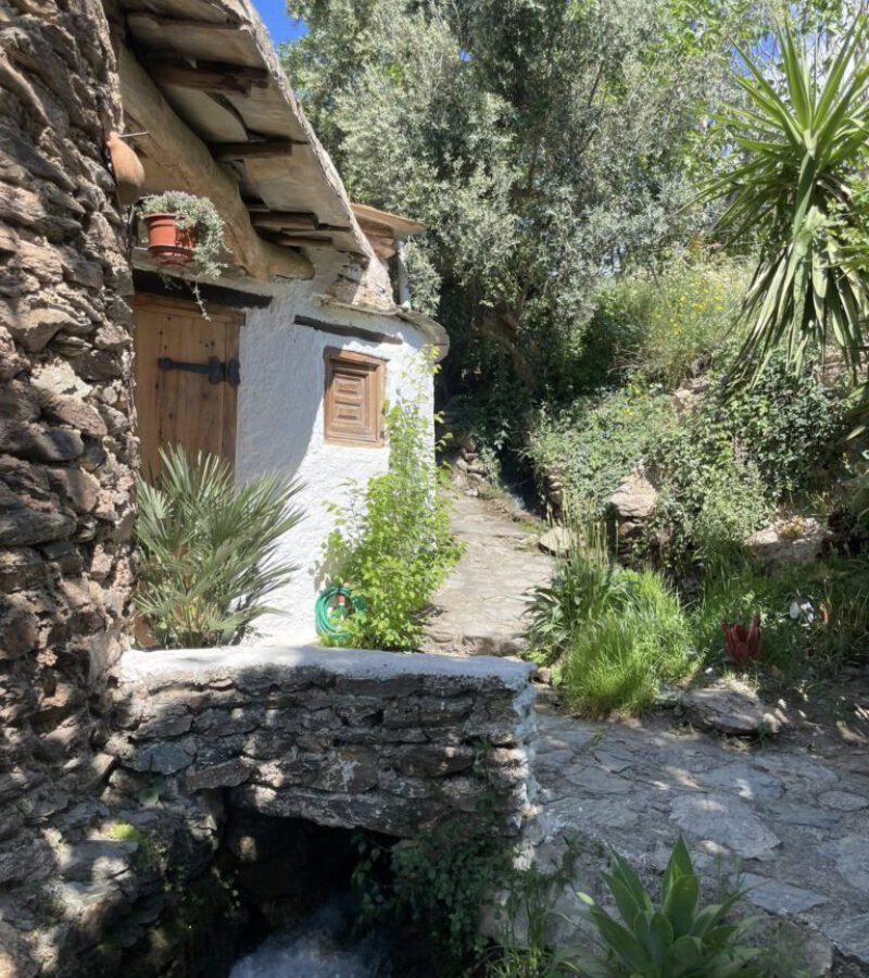 494319327_543285248857206_1488254852515792833_n