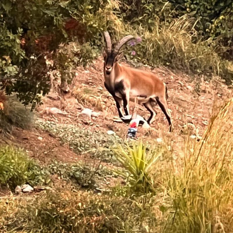 PHOTO-2025-10-16-19-22-10