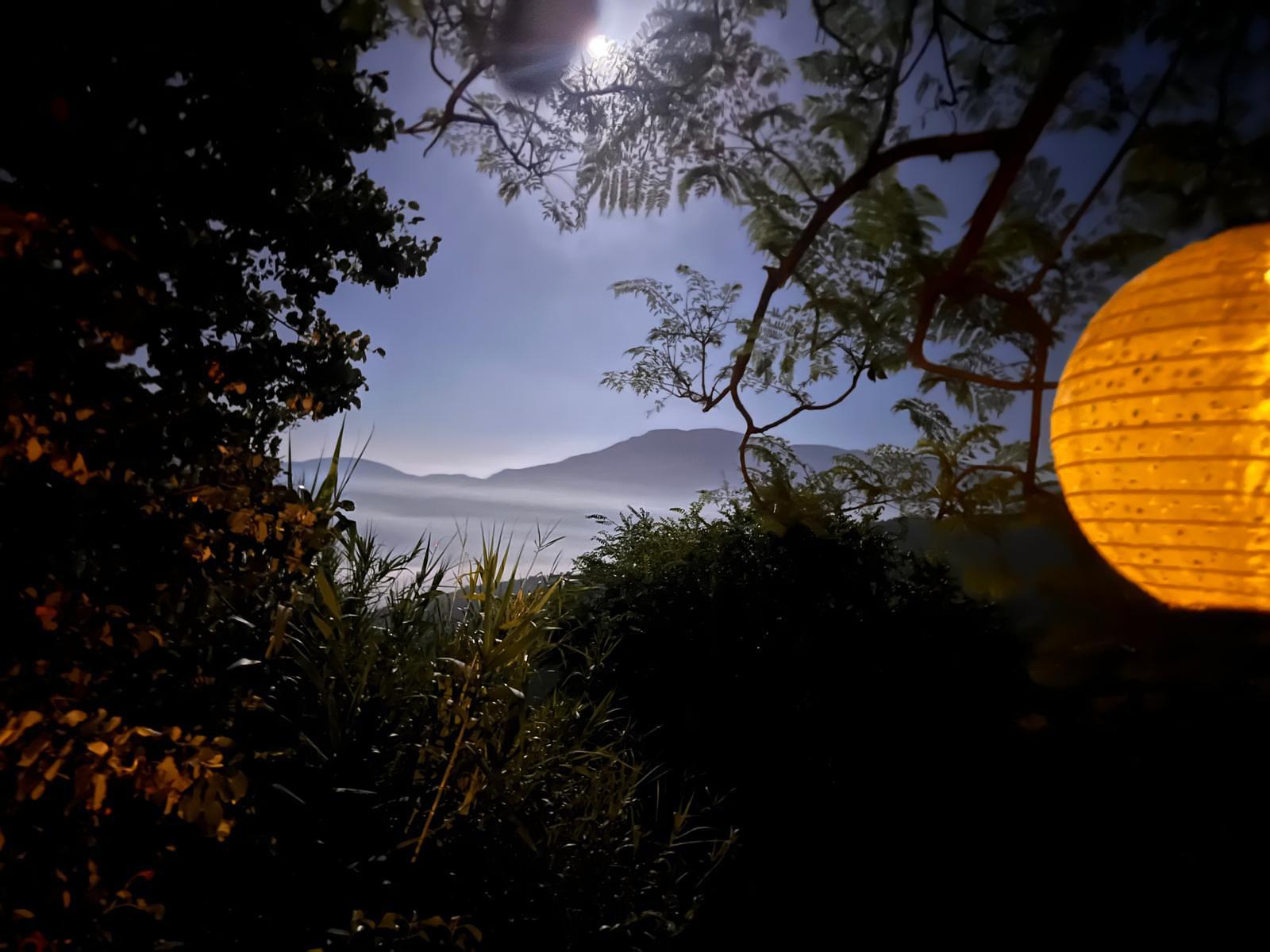 PHOTO-2026-01-20-23-44-59