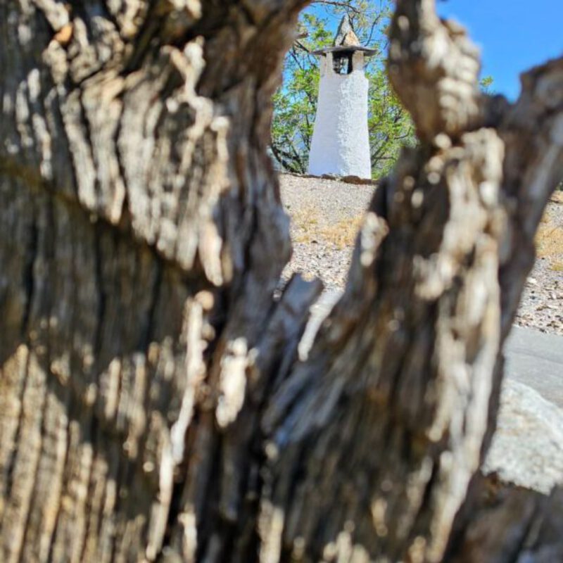 WhatsApp Image 2026-01-20 at 23.49.10